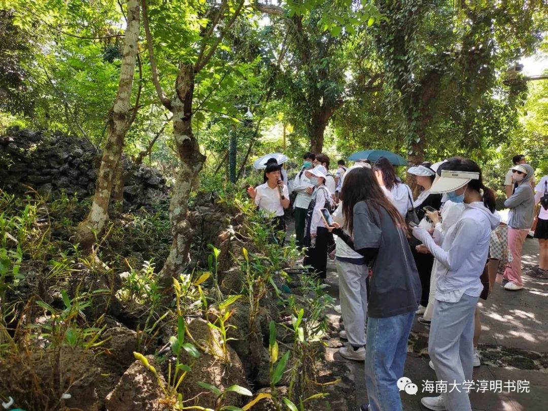 英国威廉集团官网
